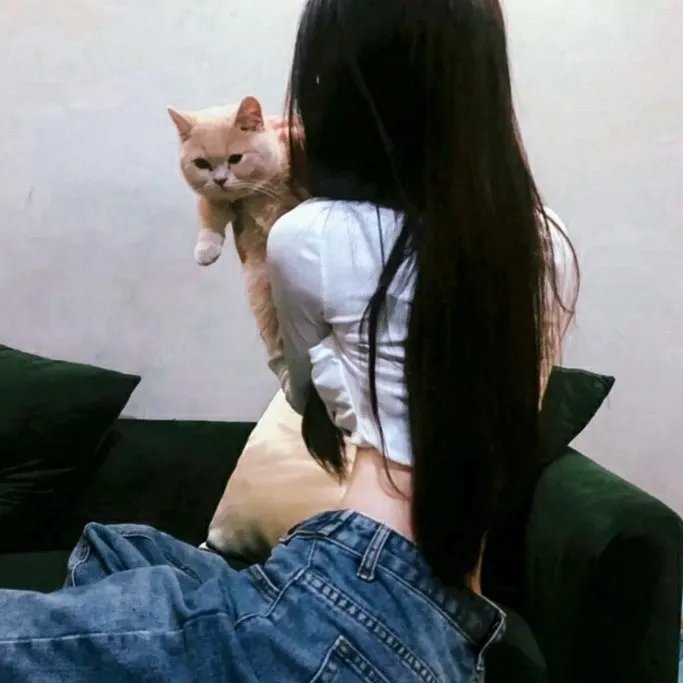 马后炮